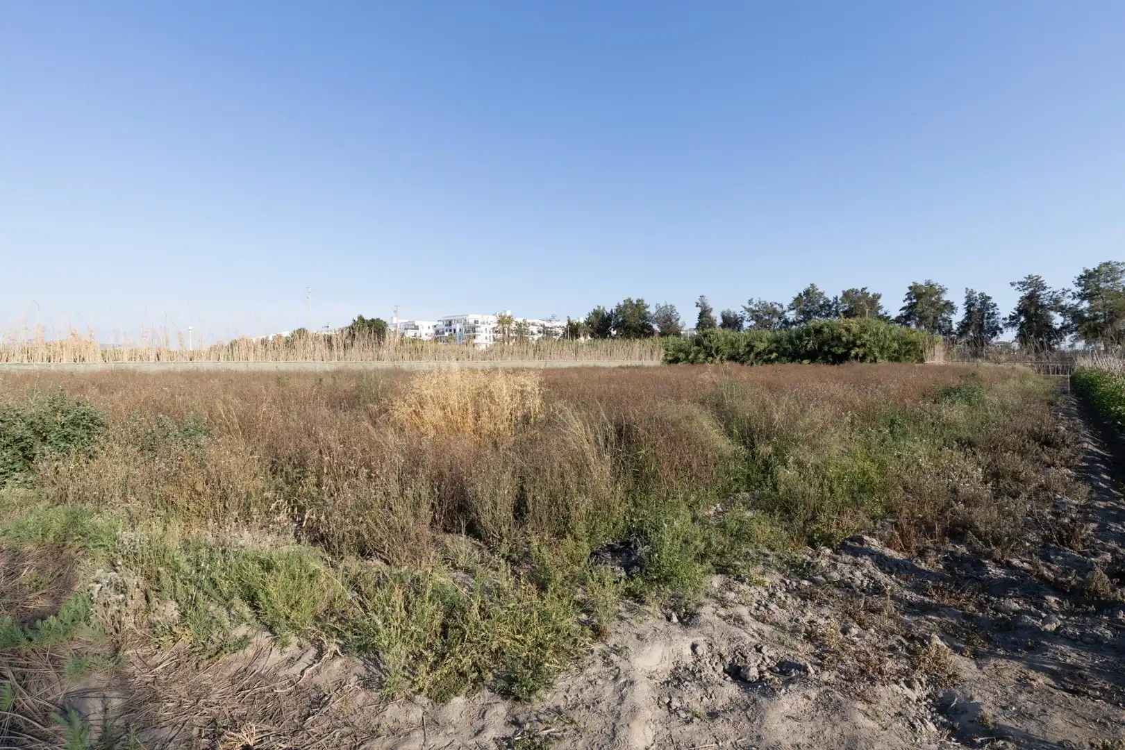 Terreny residencial en venda a Calle Sus Pla 1, imagen 5