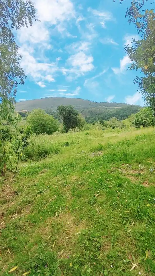 Casa o xalet en venda en Villaviciosa