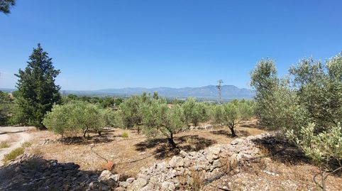 Foto 3 de Finca rústica en venta en N/a, Urbanitzacions, Tortosa