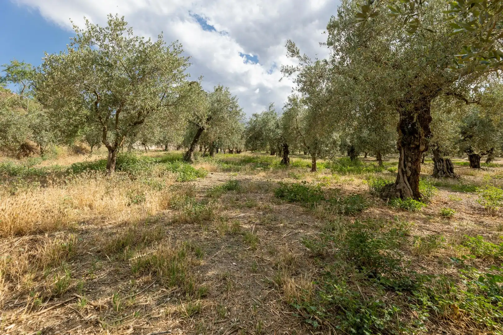 Terreno rustico in vendita a Calle POL 1, PARC 176, imagen 18