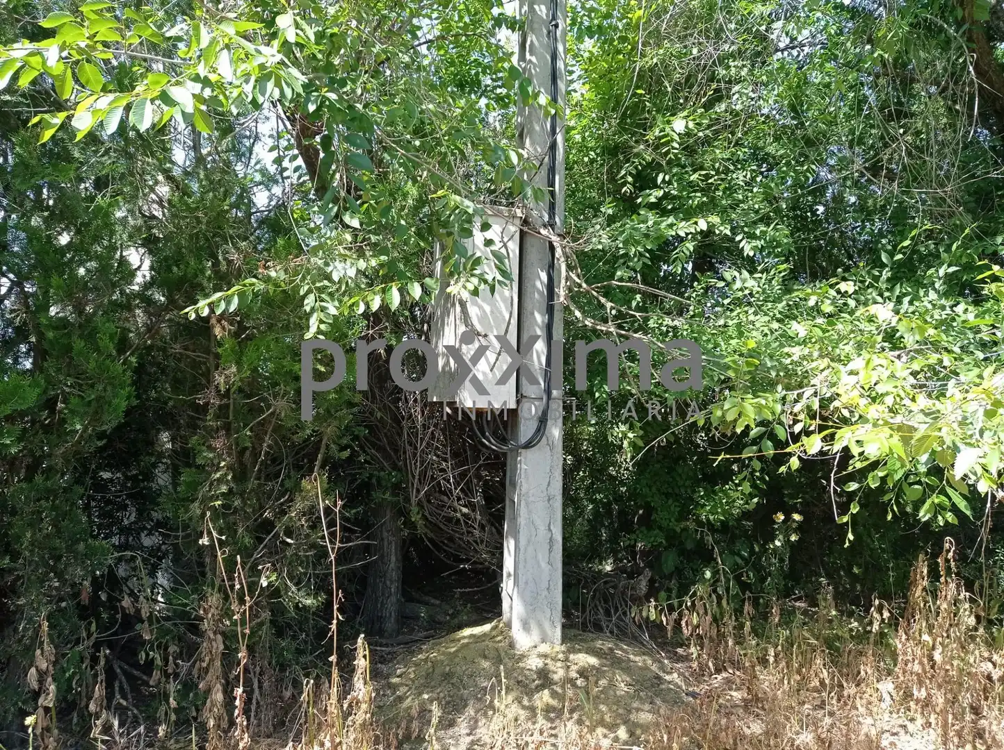 Rural land for sale in La Paz, imagen 5