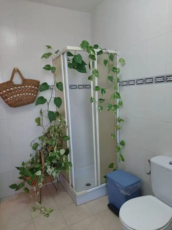Casa o chalet en venta en Córdoba con Aire acondicionado, Jardín privado y Terraza
