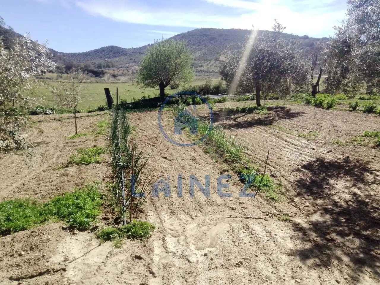 Terreny residencial en venda a Belmez, imagen 51