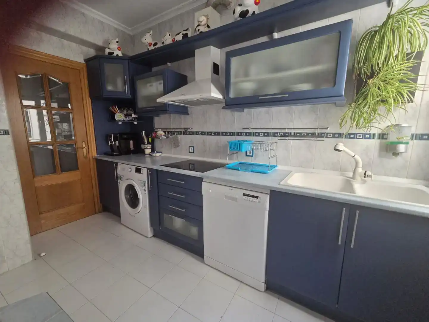 Kitchen of Flat for rent in Centro