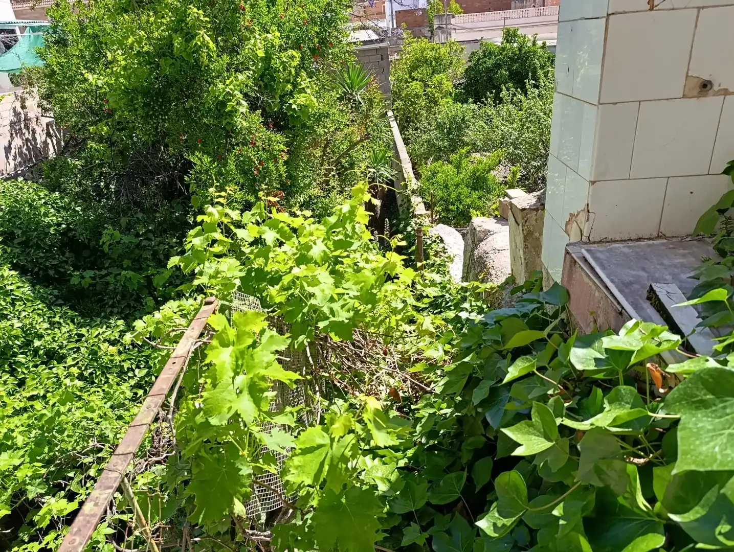 Casa con terraza en venta en Berja, imagen 24