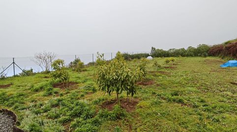 Foto 3 de Finca rústica en venta en Icod El Alto, Los Realejos