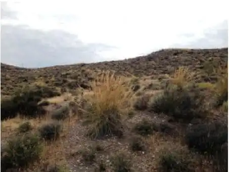Terreno rústico en venta en Paraje Buitron Nº Parcela 24, imagen 5