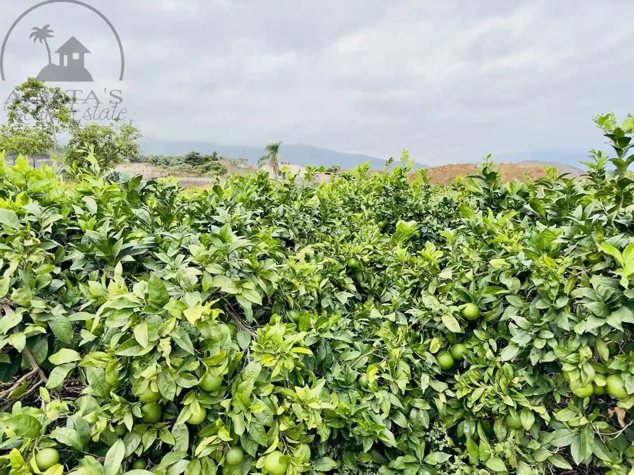 Finca rústica en venta en La Orotava con Jardín privado y Terraza