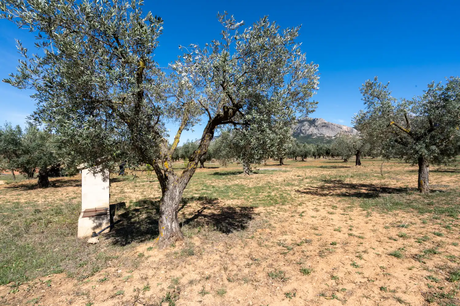 Rural land for sale in Raval dels Àngels 18, imagen 16
