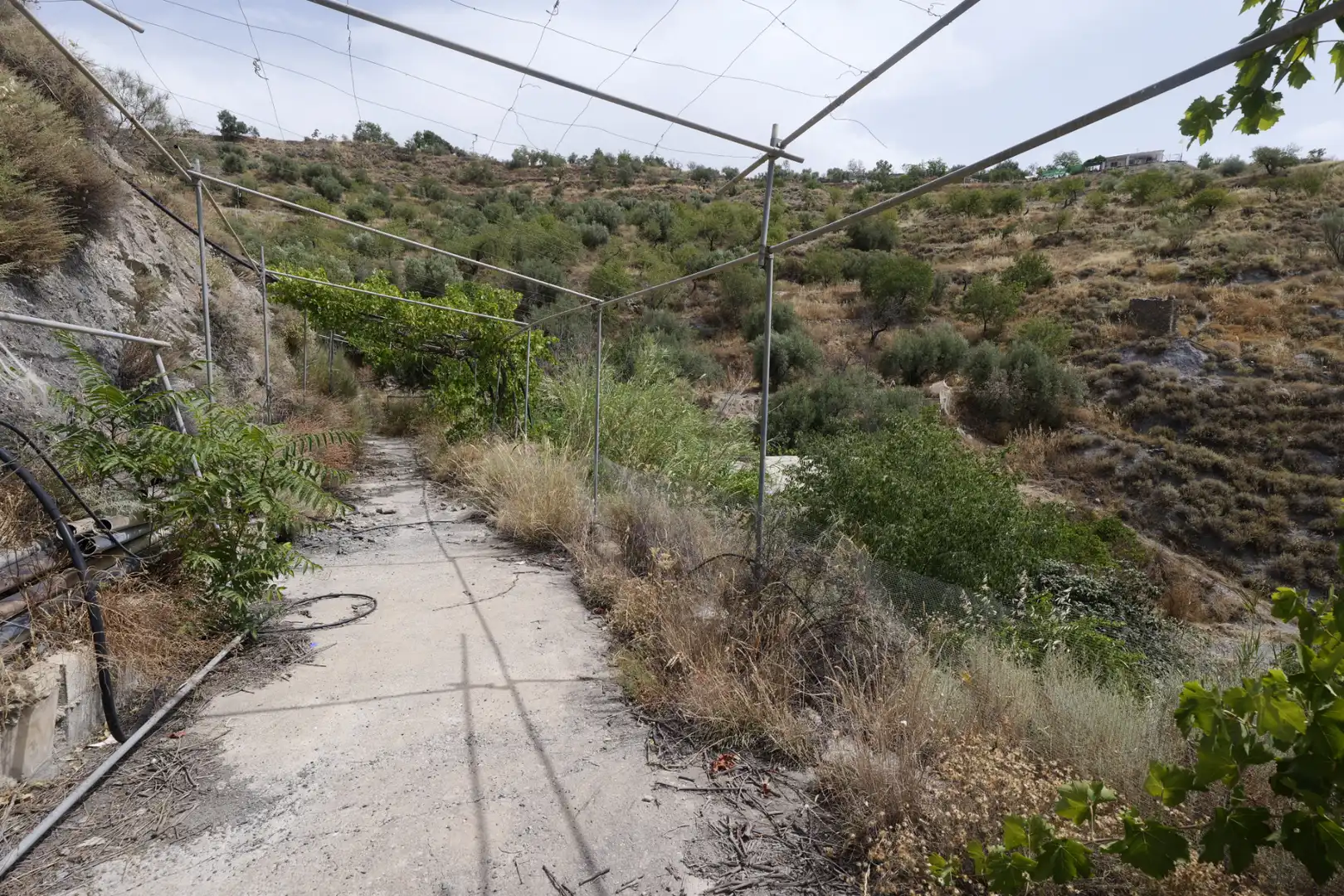 Casa o xalet en venda en Nevada amb Jardí privat, Terrassa i Moblat