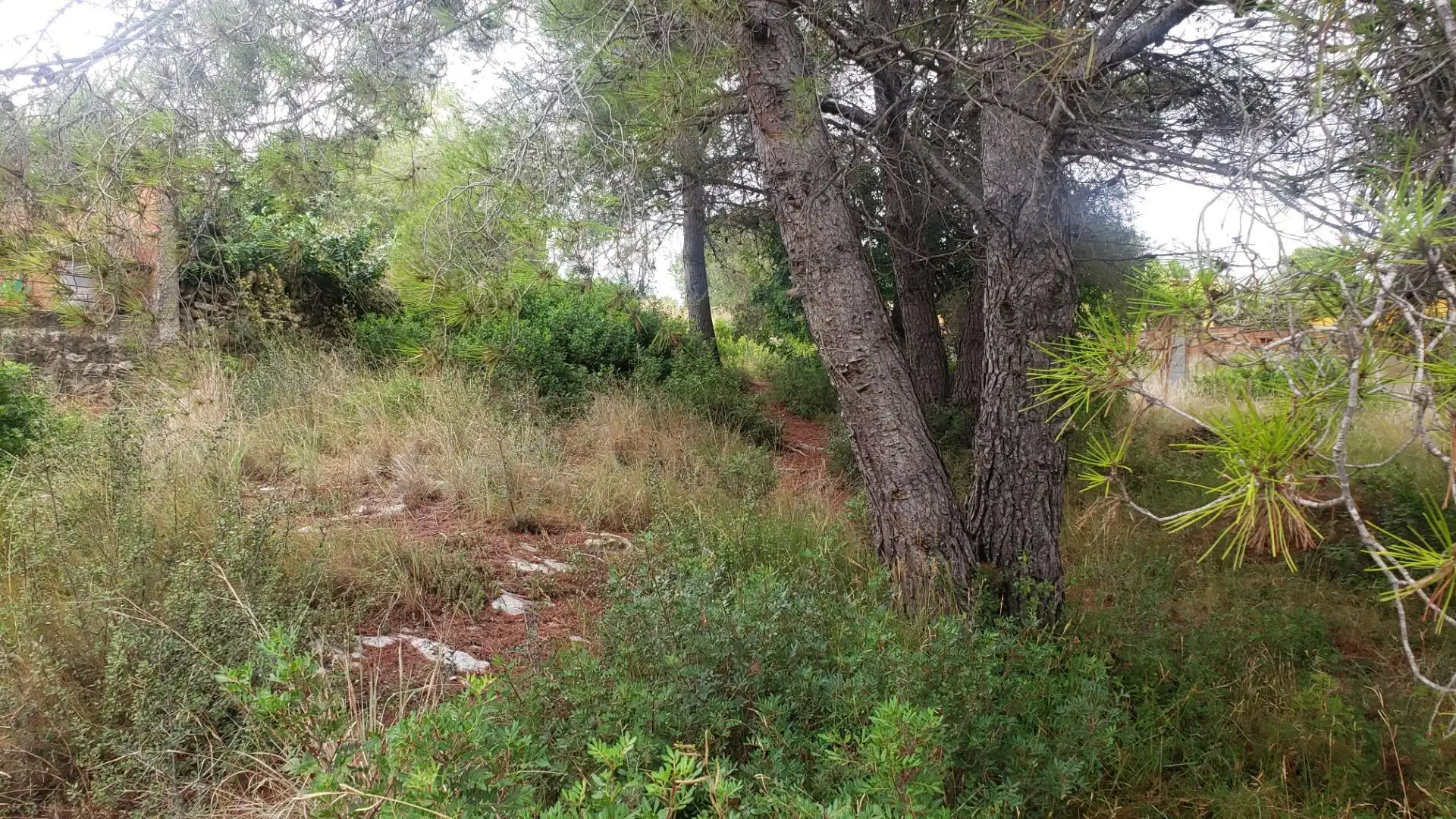 Residential land for sale in Calle dels Almogavers 6, imagen 12