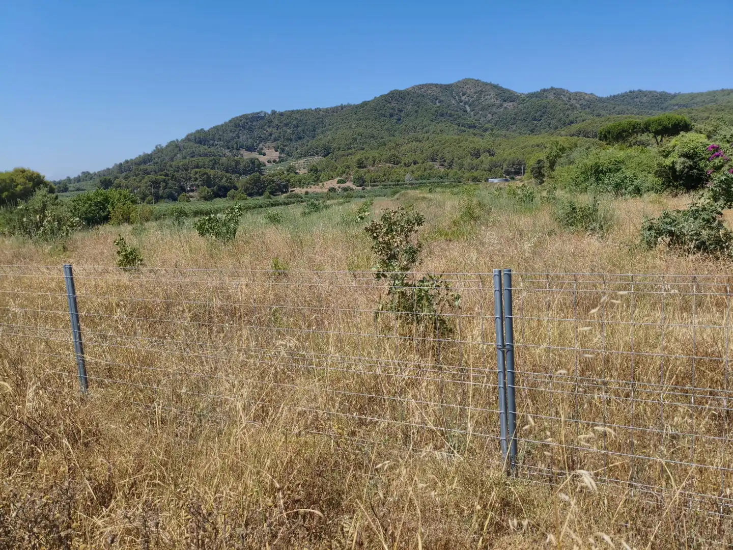 Terreno en venta en Riudecols