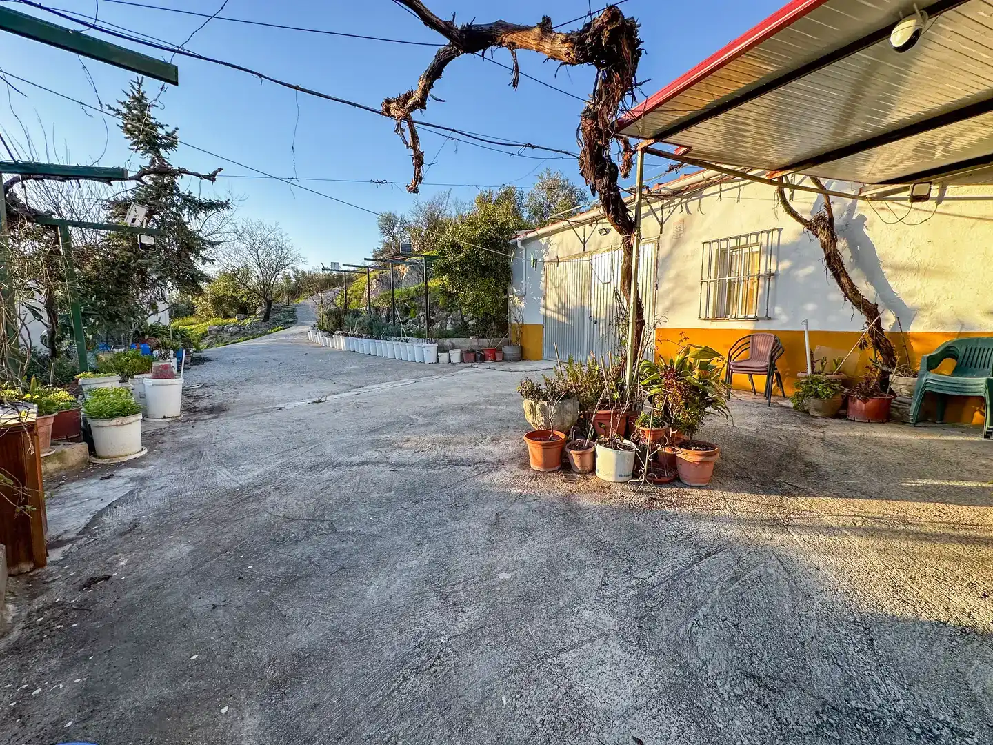 Vista exterior de Finca rústica en venda en Fuensanta de Martos amb Jardí privat, Traster i Piscina