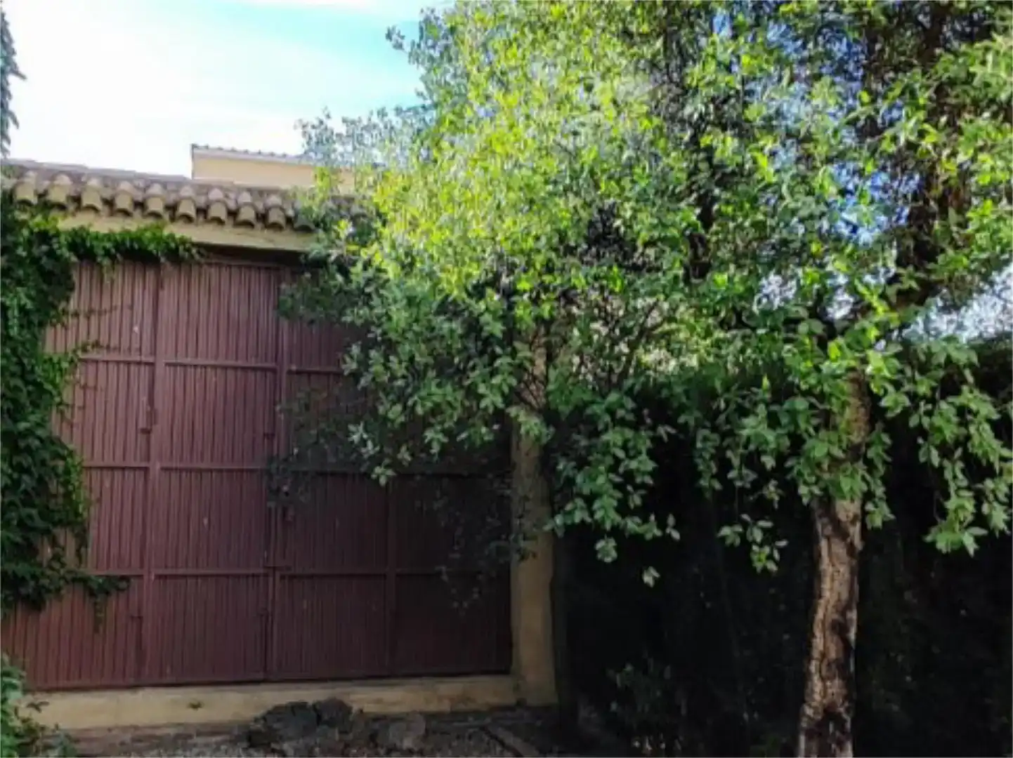 Jardín de Casa o chalet en venta en Campillo de Arenas con Jardín privado, Trastero y Balcón