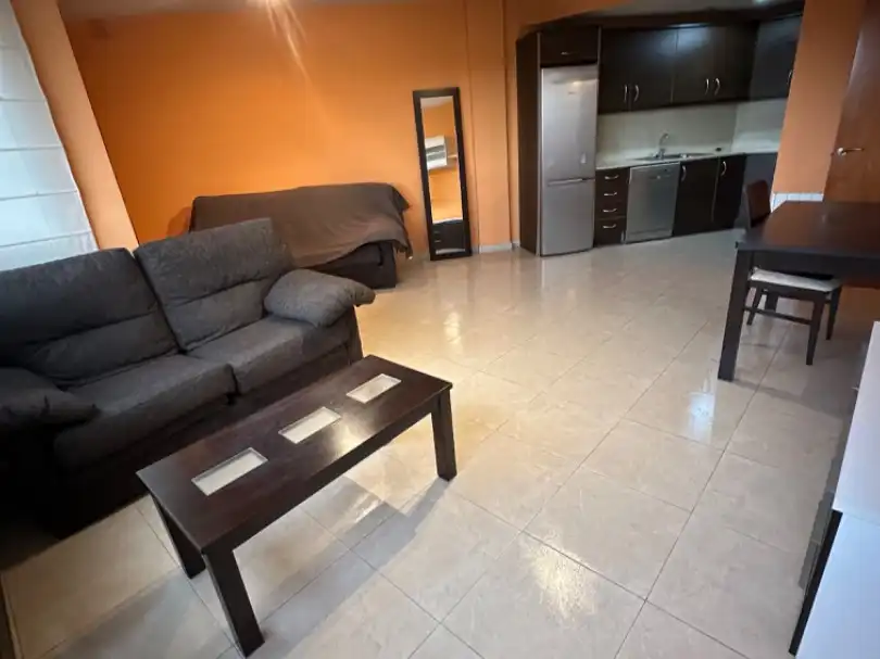 Flat with lift for sale in Avinguda de les Goles de l'Ebre 95, imagen 12