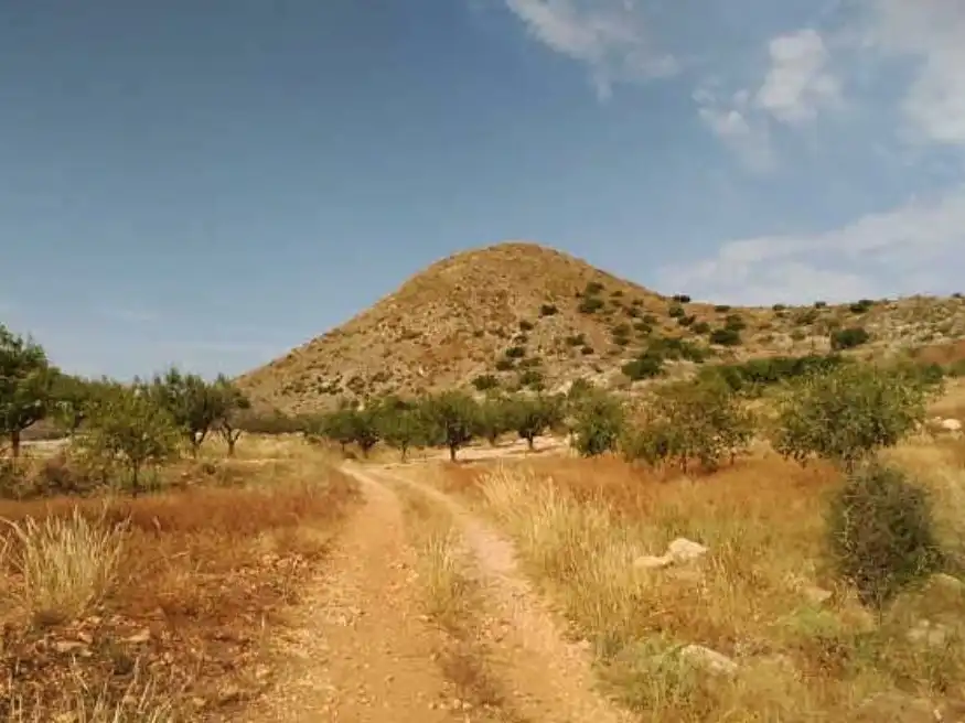 Wohnbaugrundstück zum Verkauf in Nº 81 Parcela 363. Paraje Los Simonetes, imagen 8