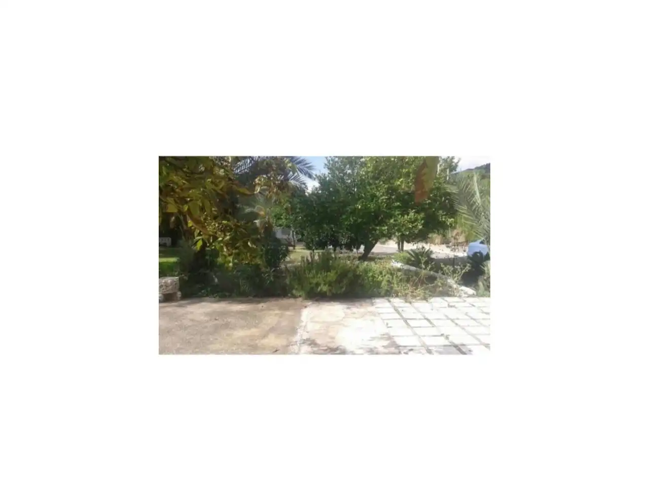 Casa o xalet en venda en Lucena amb Jardí privat, Terrassa i Piscina
