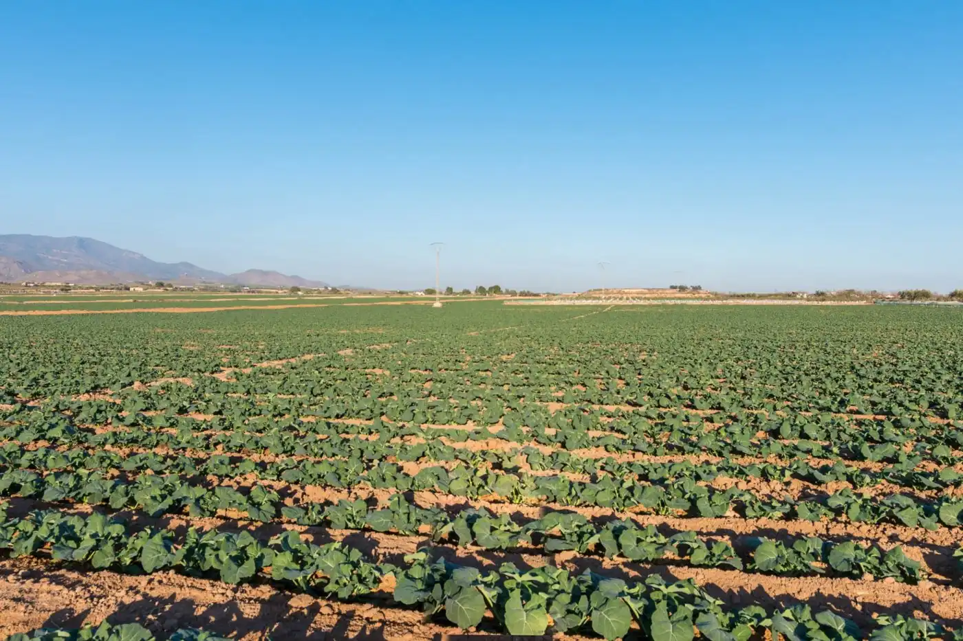 Vista exterior de Finca rústica en venta en Alhama de Murcia
