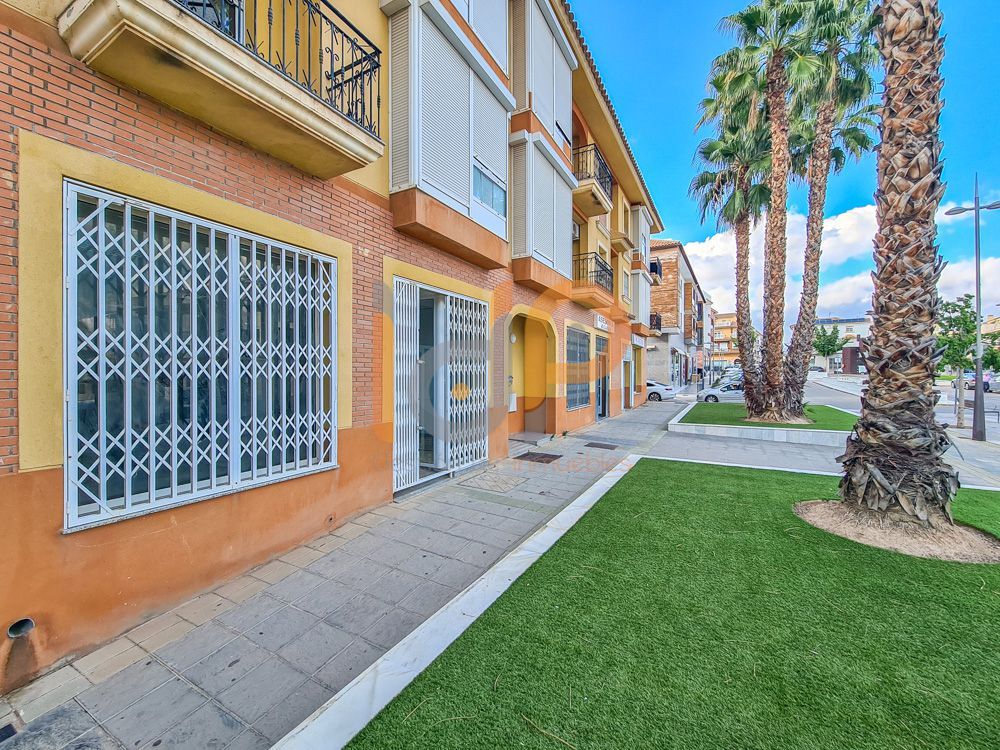 Vista exterior de Local en venta en Huércal-Overa