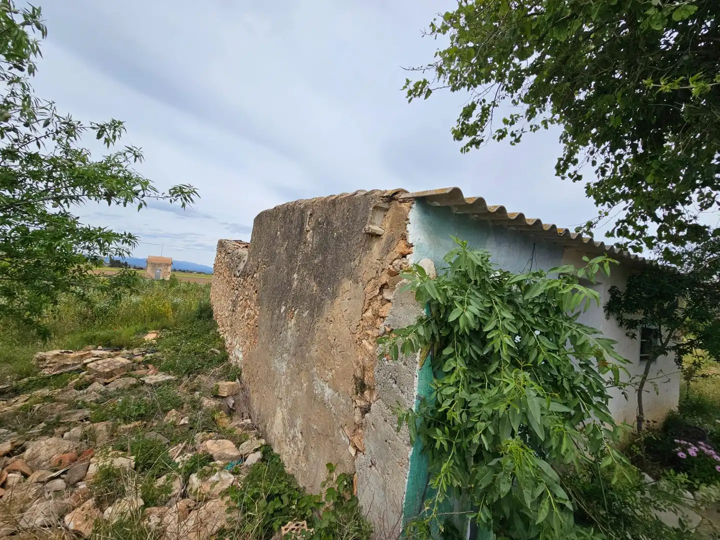 Landhaus zum Verkauf in Eucaliptus- Poble Nou del Delta, imagen 22