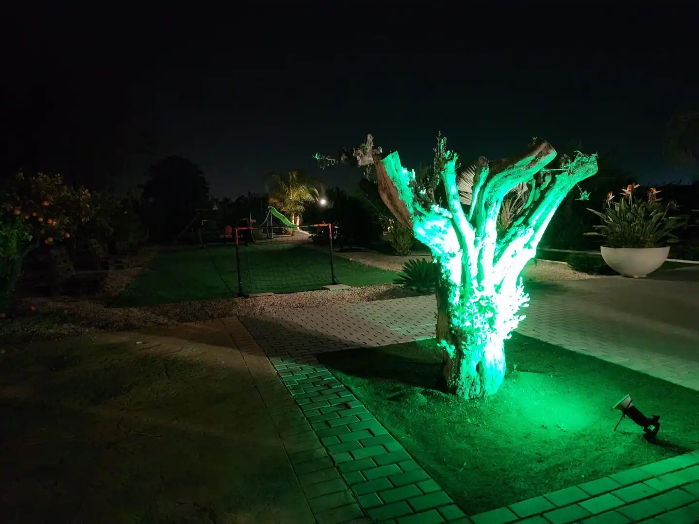 Jardí de Casa o xalet en venda en Alcantarilla amb Aire condicionat, Calefacció i Jardí privat