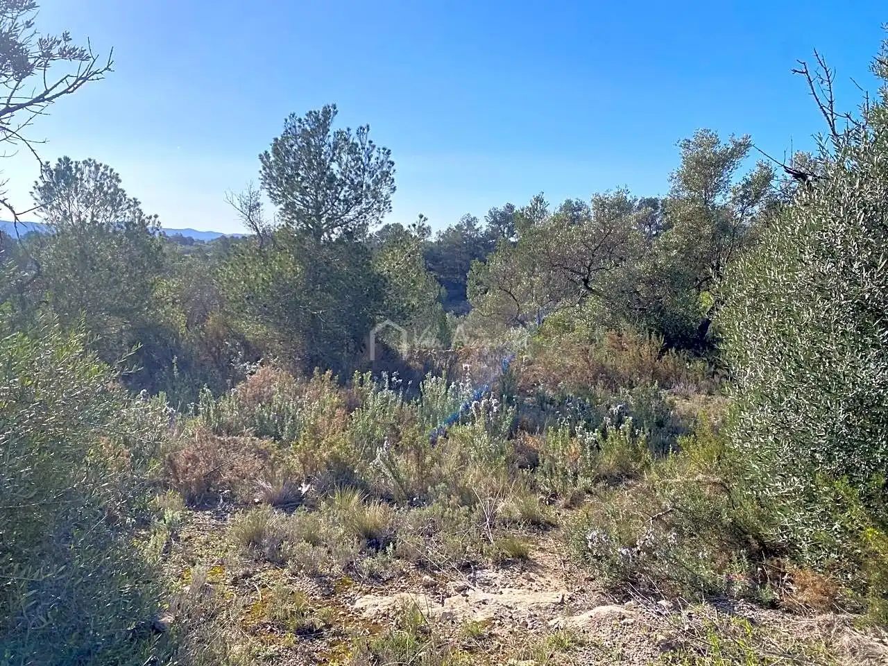 Terrain rustique à vendre à Gabachons, imagen 7