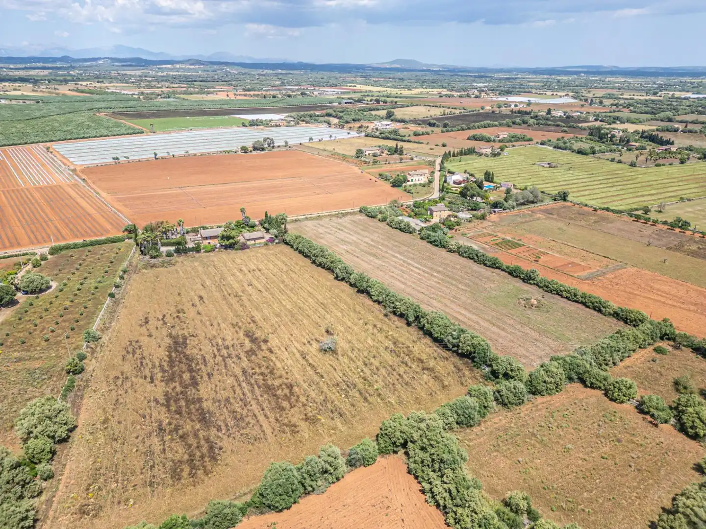 Rural land for sale in Felanitx Poble, imagen 18