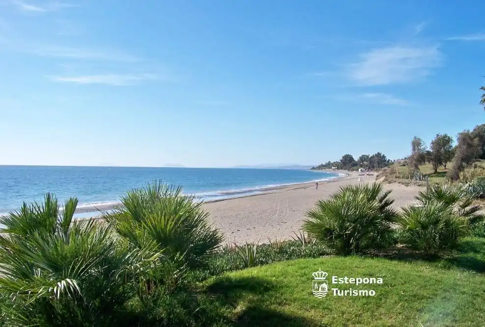 Ático con piscina en venta en Estepona Pueblo, imagen 8