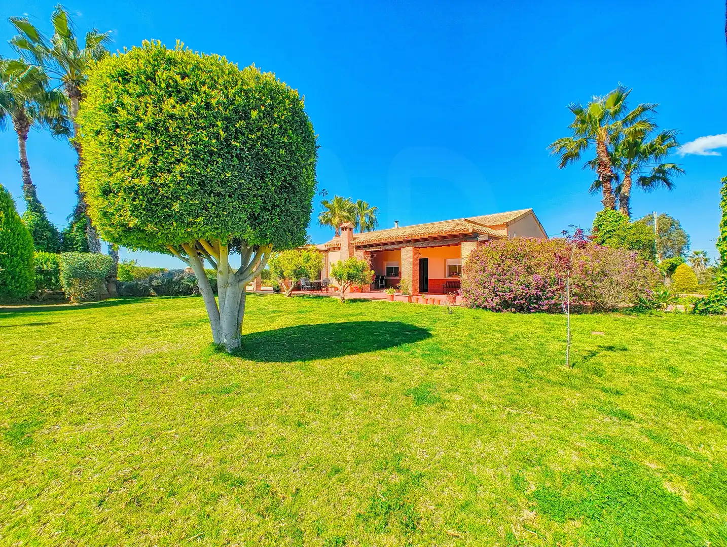 Casa con piscina en venta en Las Bayas