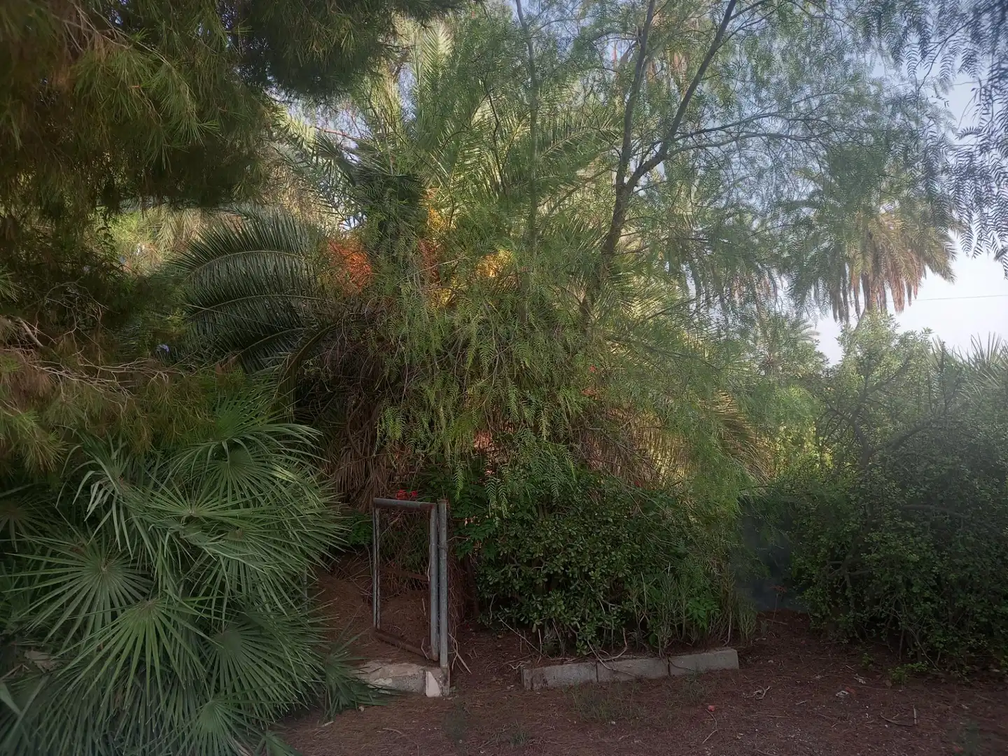Casa o xalet en venda a La Foia - Daimés - Asprella