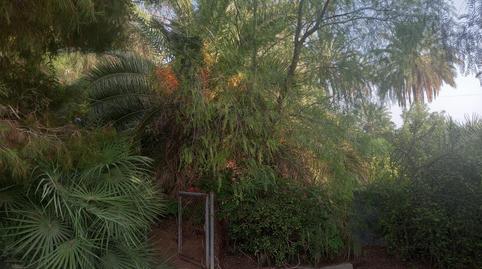 Foto 4 de Casa o xalet en venda a La Foia - Daimés - Asprella, Elche / Elx