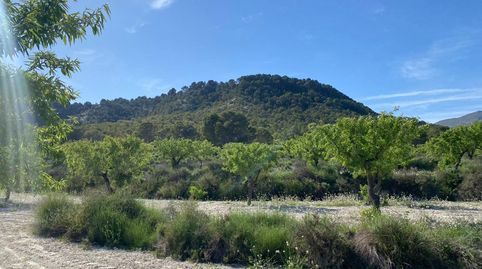 Paraíso Agrícola en la Sierra de Moratalla Almendros, Olivos y Vistas Únicas