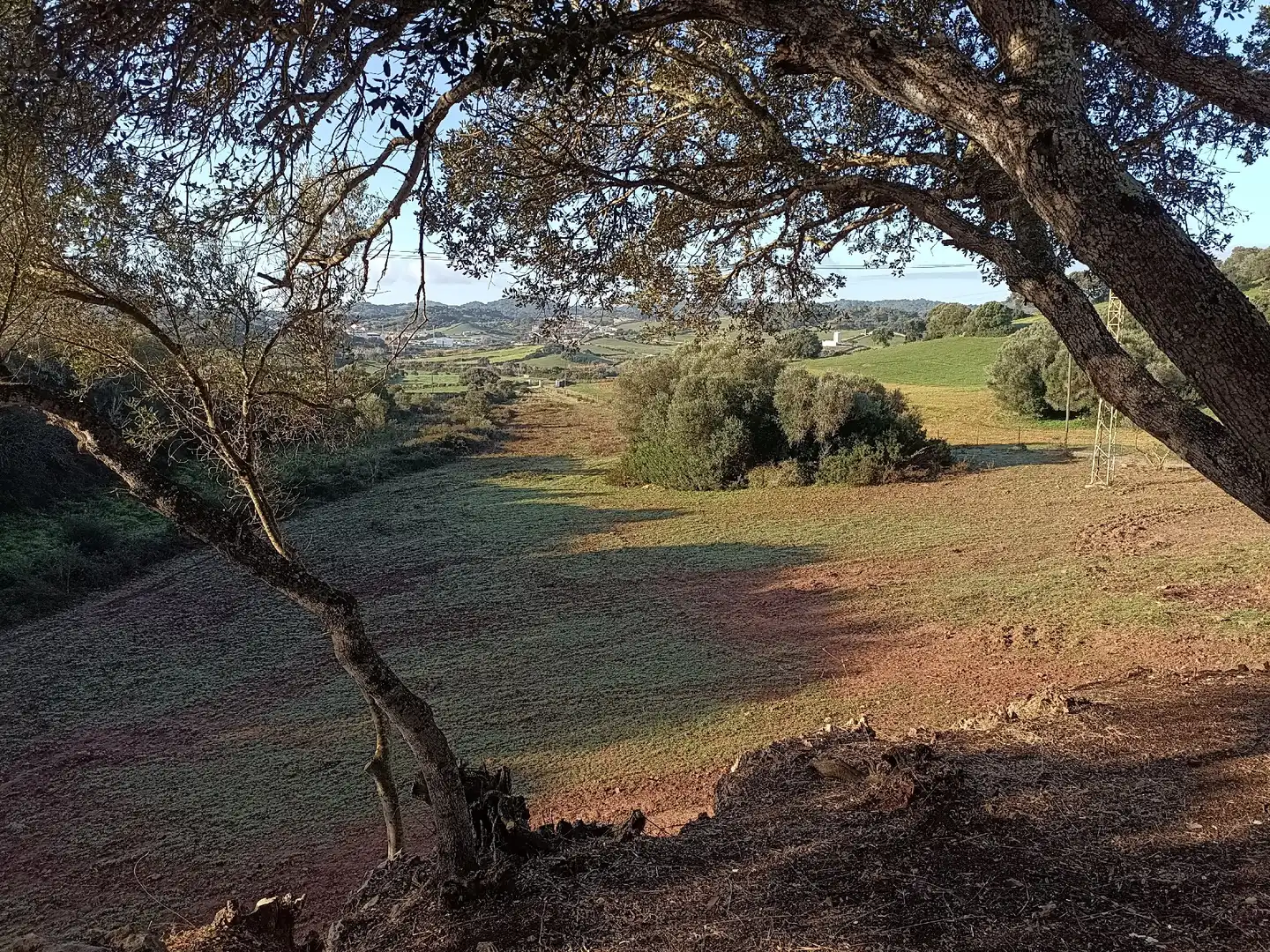 Casa o xalet en venda a Ses Salines de Fornells