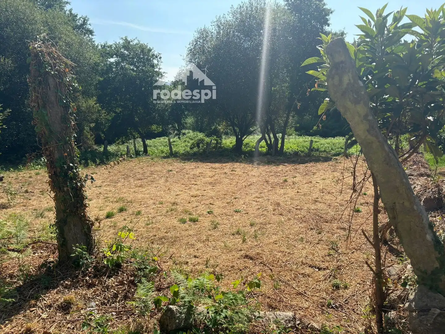 Houses for sale in Arbo