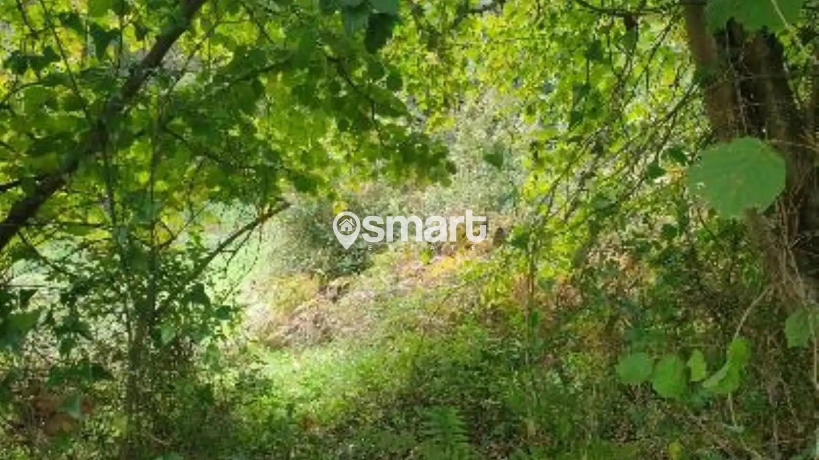 Terreno rustico in vendita a Villalegre - La Luz, imagen 5