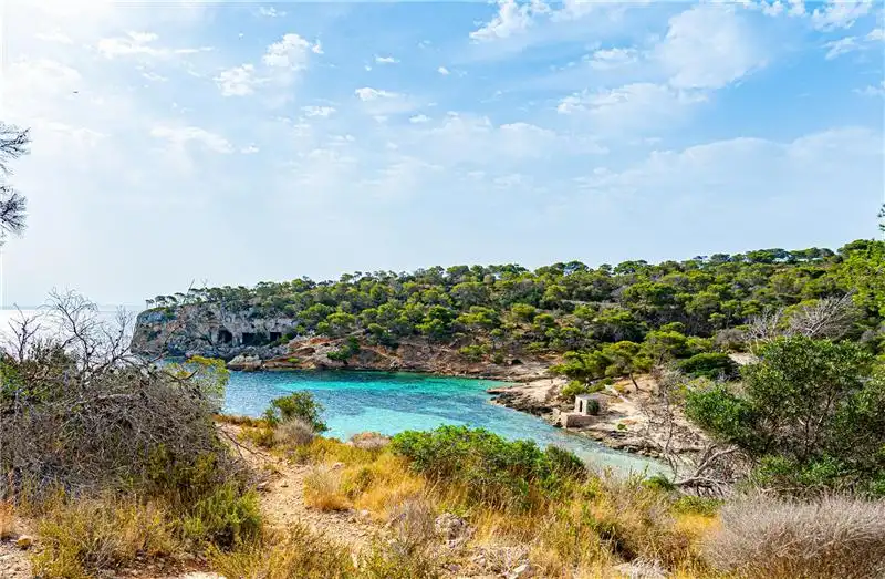 Vista exterior de Apartamento en venta en Calvià con Aire acondicionado y Terraza