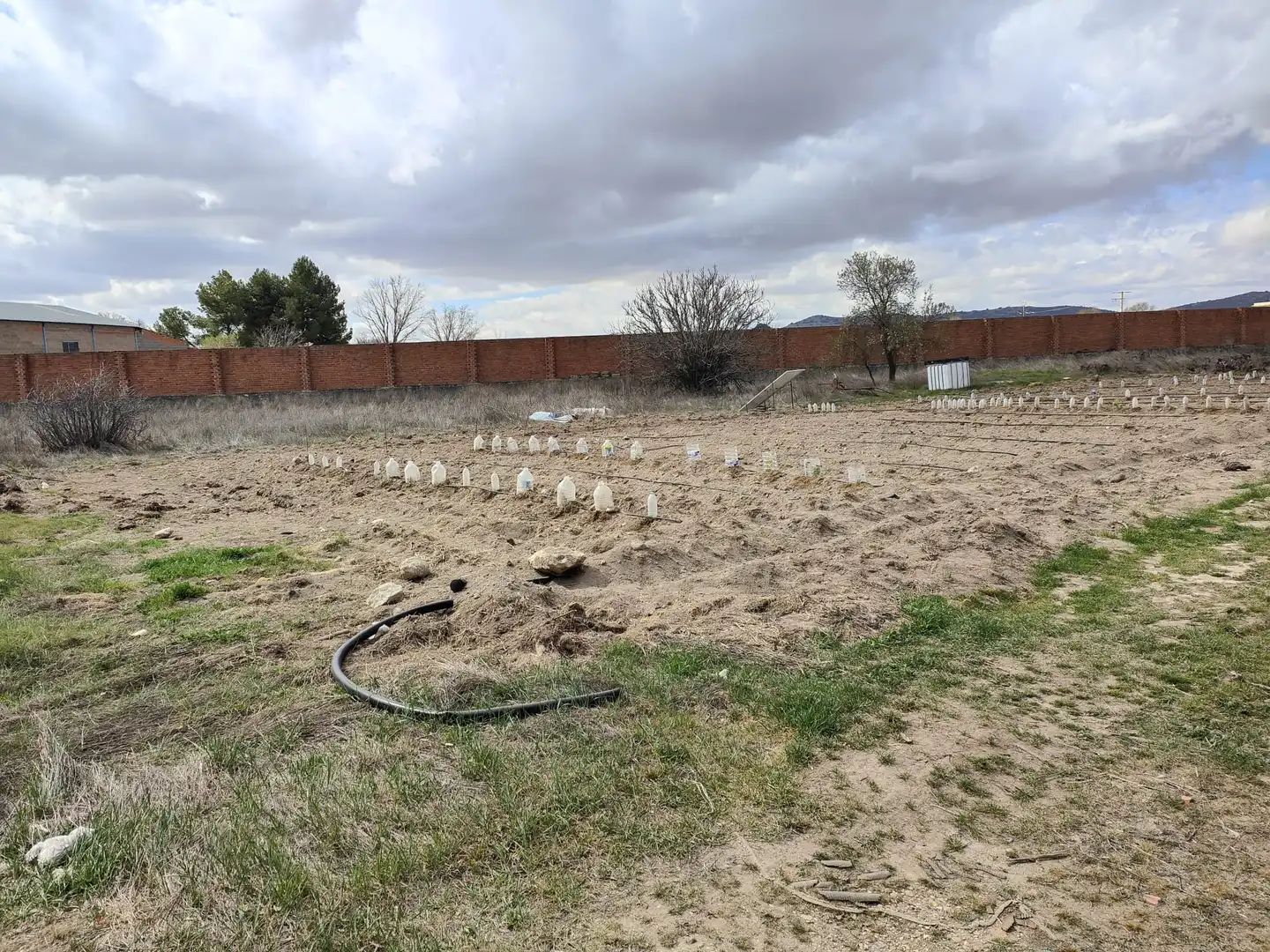 Lands and plots for sale in Corral de Almaguer, imagen 3