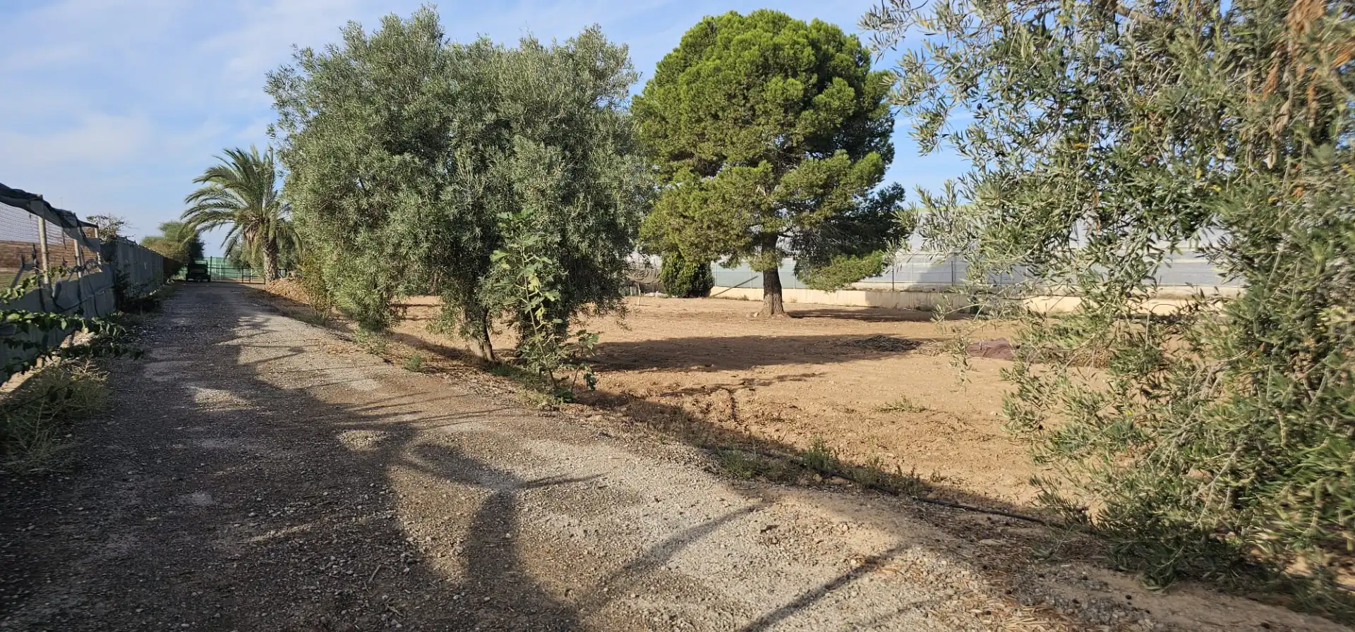 Grundstücke zum Verkauf in San Javier