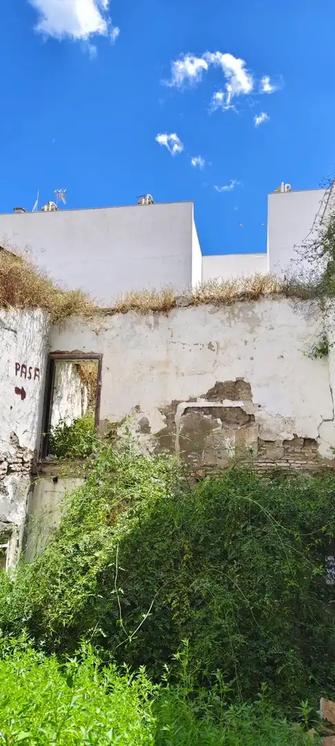 Vista exterior de Finca rústica en venta en Écija
