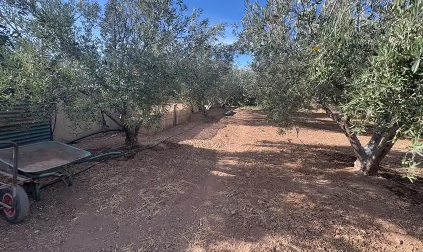 Casa o xalet en venda en Níjar amb Jardí privat, Terrassa i Piscina