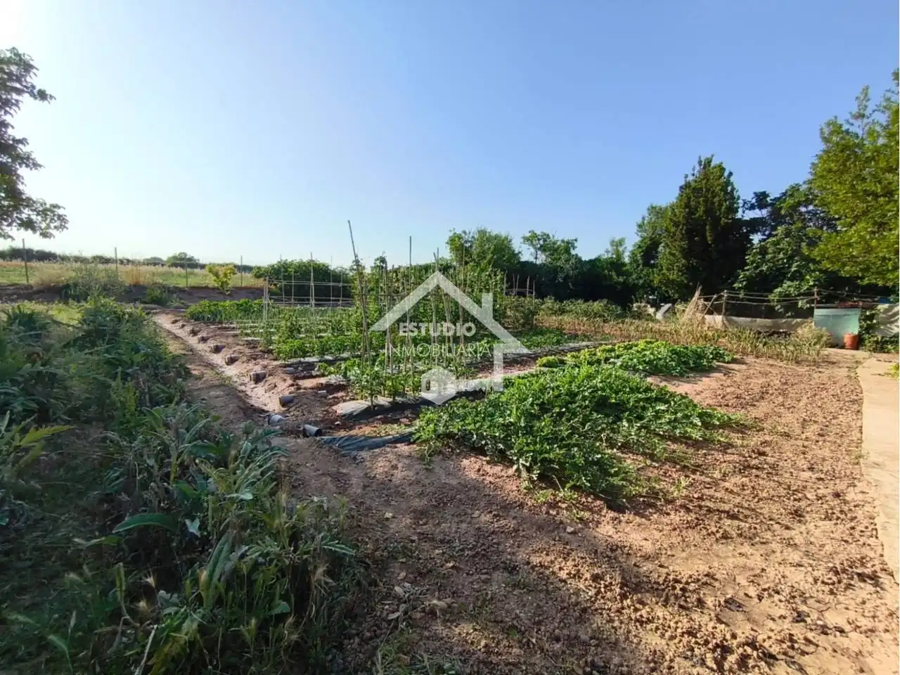 Rural land for sale in Calle carretera de la barca, imagen 40