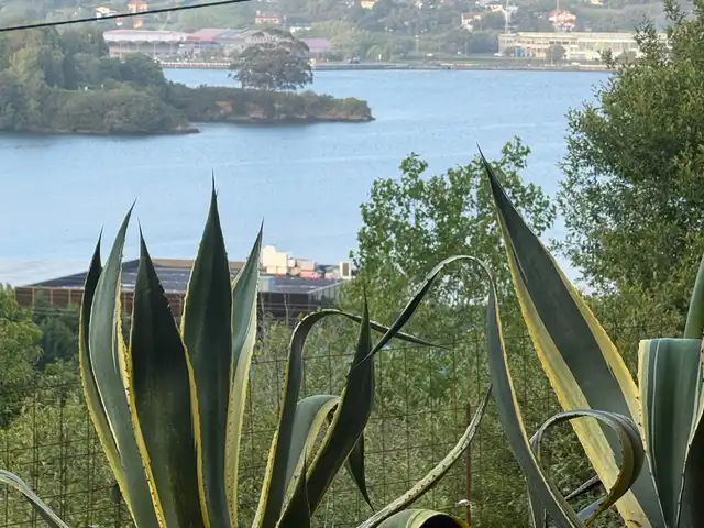 Garten von Haus oder Chalet zum Verkauf in Ferrol mit Abstellraum und Internet