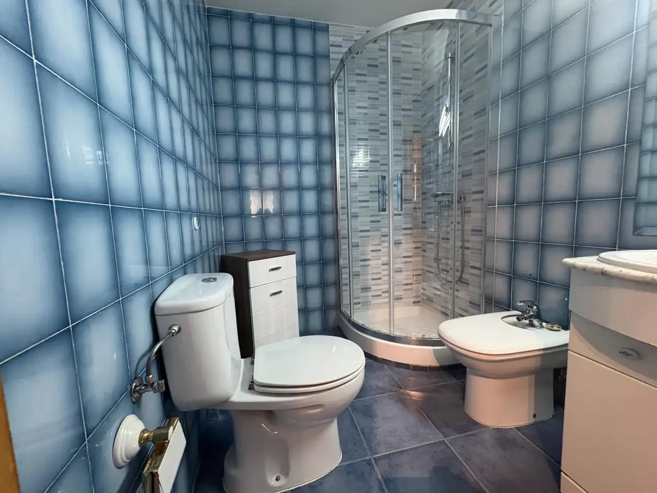 Badezimmer von Erdgeschoss zur Miete in San Lorenzo de El Escorial mit Heizung, Parkett und Möbliert