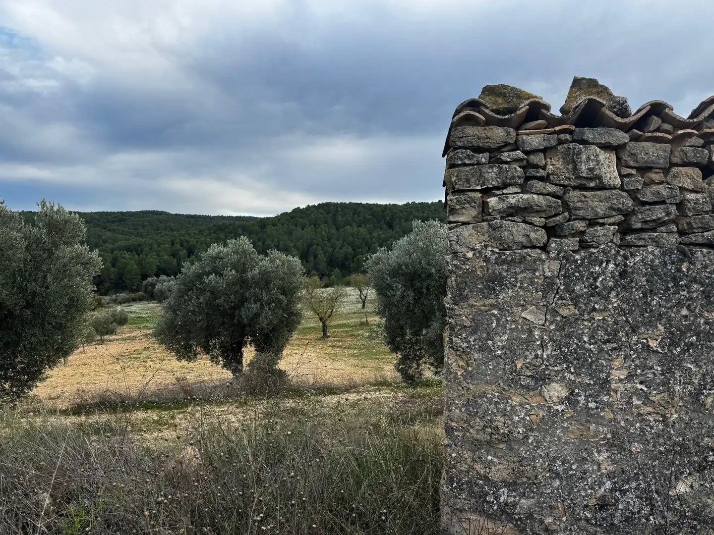 Grundstücke zum Verkauf in Mazaleón