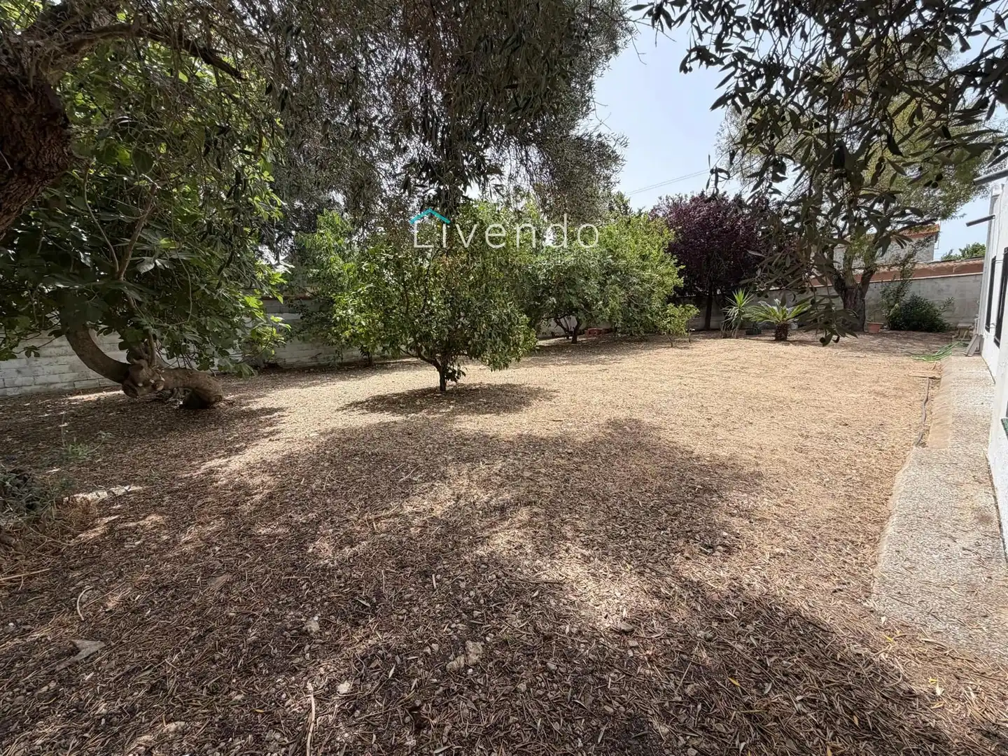 Chalet en venta en BARRIO NUEVO, imagen 30