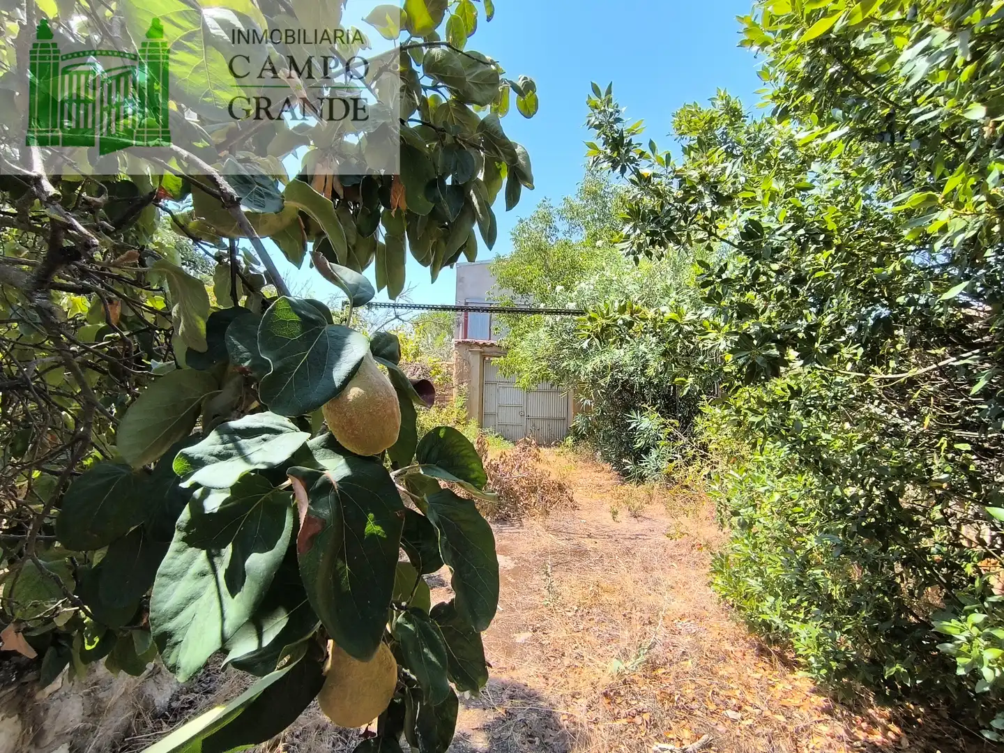 Casa o chalet en venta en Pedraza de Campos con Calefacción, Jardín privado y Terraza