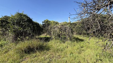 Foto 5 de Finca rústica en venda a Rafelguaraf, Valencia