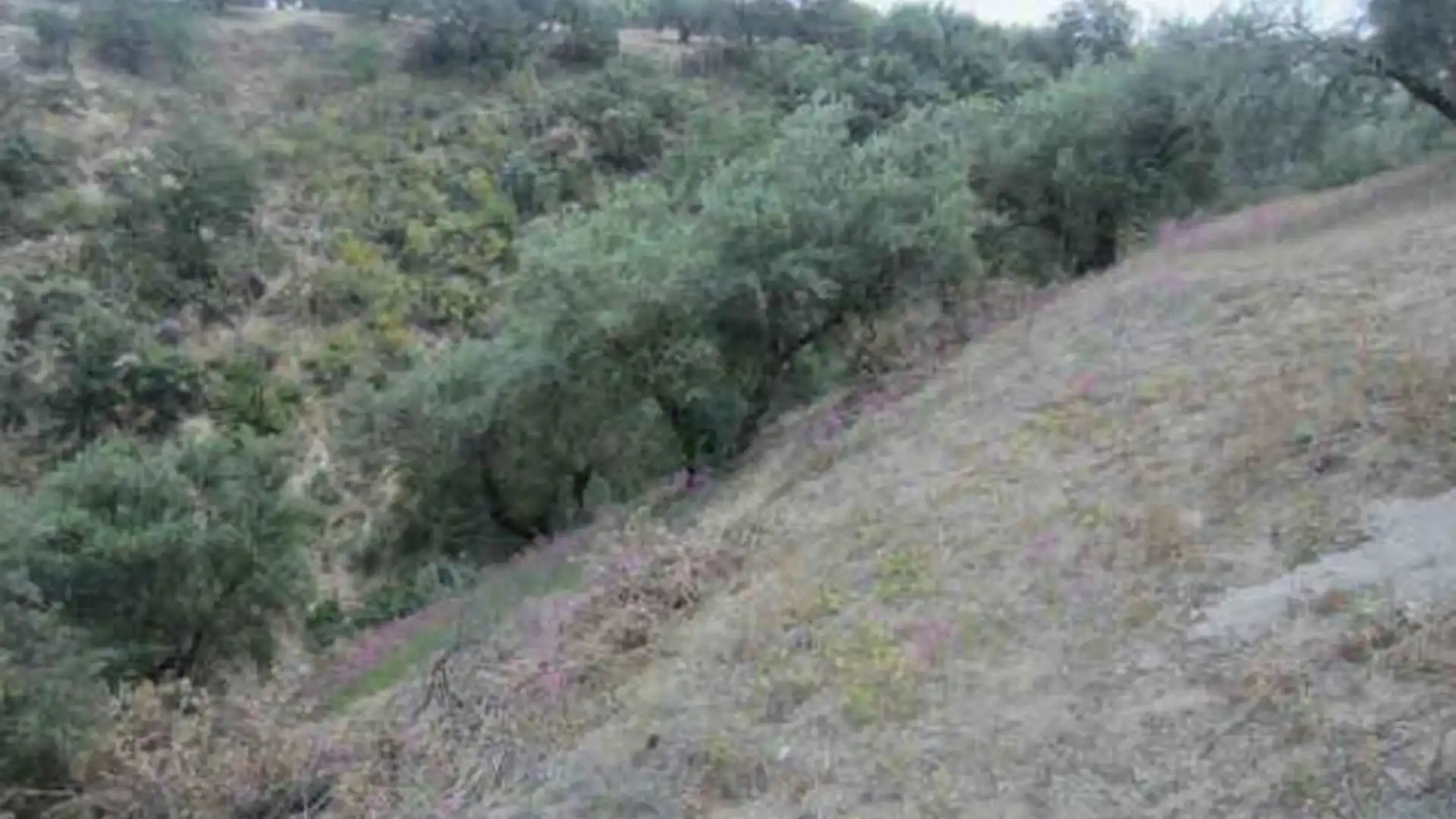 Terreno en venta en Almedinilla