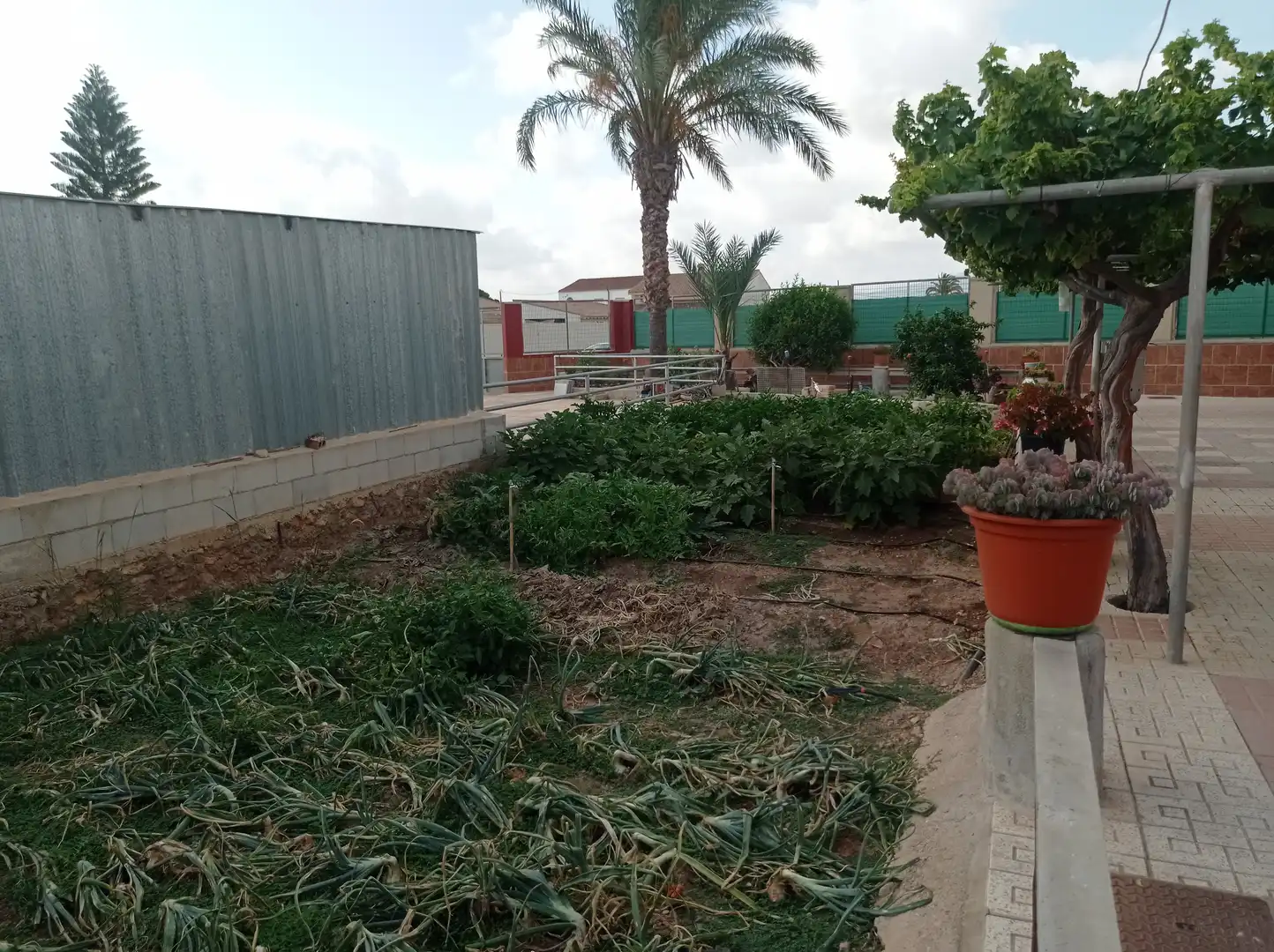 Finca rústica en venta en Fuente Álamo de Murcia con Calefacción, Jardín privado y Piscina