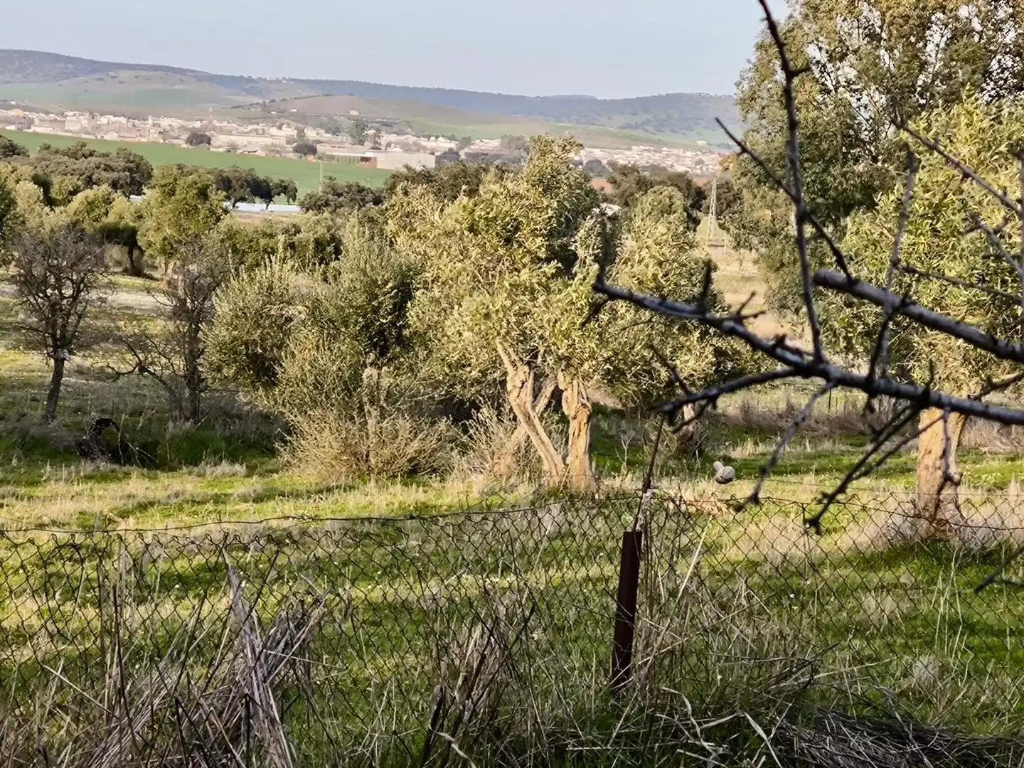 Finca rústica en venta en Peñarroya-Pueblonuevo con Jardín privado, Trastero y Piscina
